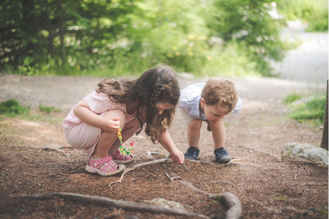 Children in a forest school setting
